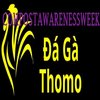 Avatar of Đá Gà Trực Tiếp Thomo