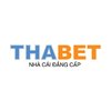 Avatar of THABET CASINO