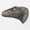 Avatar of tvvelociraptor