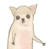 Avatar of chio72
