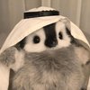 Avatar of smild