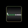 Avatar of Cá cược bóng đá