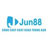 Avatar of jun88dieulinh