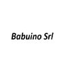 Avatar of Babuino Srl