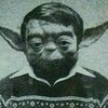 Avatar of Mattpwr