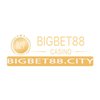 Avatar of Bigbet88