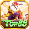 Avatar of top88