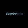 Avatar of Blueprint Studios