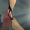 Avatar of Zero0143