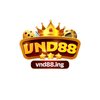 Avatar of VND88