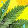 Avatar of exoticgreenshopusa