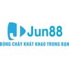 Avatar of nhà cái jun88