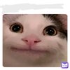 Avatar of frisktest5