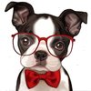 Avatar of sweetfa36150288