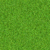 Avatar of hamster1234
