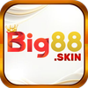 Avatar of big88skin