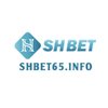 Avatar of SHBET65 – NHÀ CÁI CÁ CƯỢC TRỰC TUYẾN TẶNG 65K