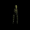 Avatar of Ayrex