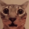 Avatar of Vinkundtz