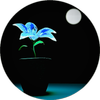 Avatar of Hayley Morris