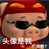Avatar of ReverseTheSky