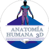 Avatar of Anatomía Humana 3D