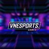 Avatar of VNEsports Games