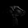 Avatar of Kollabiz