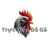 Avatar of Gatructiep pro
