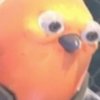 Avatar of ChickenCubez