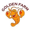 Avatar of Golden.Farm