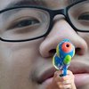 Avatar of jojoey