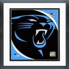 Avatar of panthers1newtonforever201