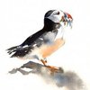 Avatar of Mahsa.Yazdani