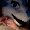 Avatar of NevaehKay.Murphy