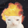 Avatar of ChatGagnant