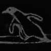 Avatar of Matteo.Bonini