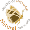 Avatar of mhnconcepcion