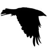 Avatar of Crowsfield