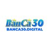 Avatar of Banca30 digital