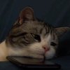 Avatar of Frid.blend