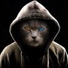 Avatar of usama_javaid
