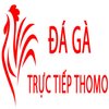 Avatar of Đá Gà Trực Tiếp Thomo Hôm Nay