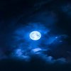 Avatar of LUNA8819