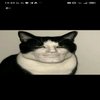 Avatar of Crysis_8268
