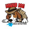 Avatar of Hound Dog Leak Detection