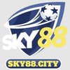 Avatar of Nhà cái SKY88