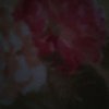 Avatar of DimonXxX6018