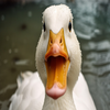 Avatar of =GEHF=Da11as