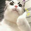 Avatar of SHADKS_65